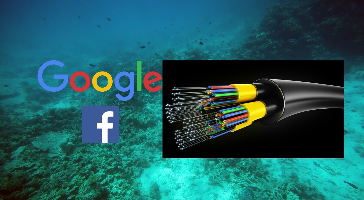 Google Facebook Subsea cable Apricot Project Asia