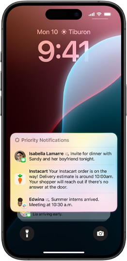 Priority Notifications iOS 18.1 update