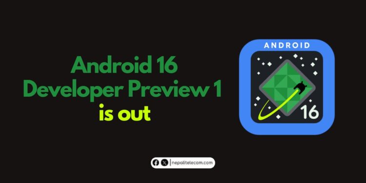 Android 16 Developer Preview 1