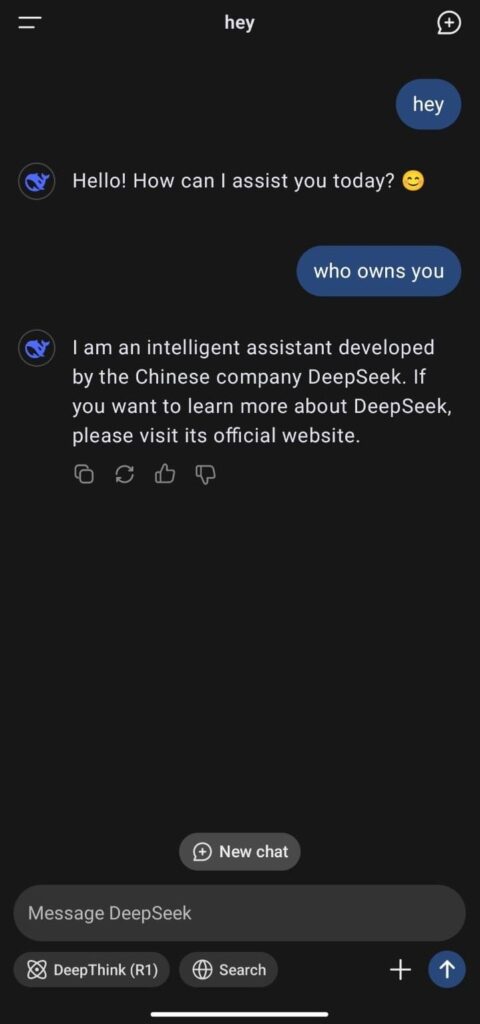 DeepSeek chatbox mobile